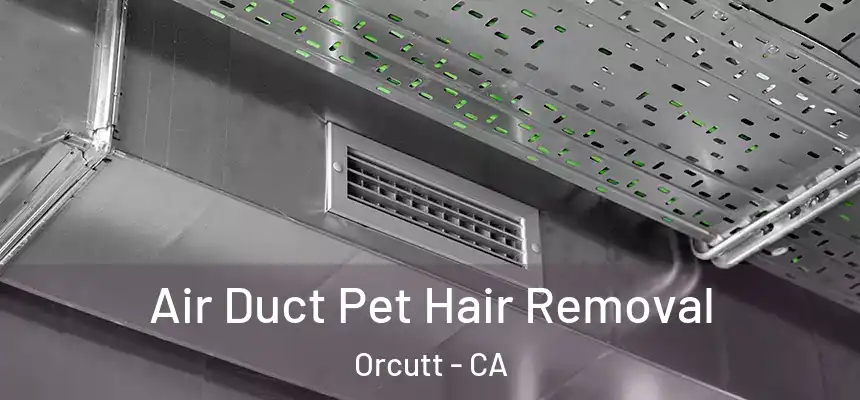 Air Duct Pet Hair Removal Orcutt - CA