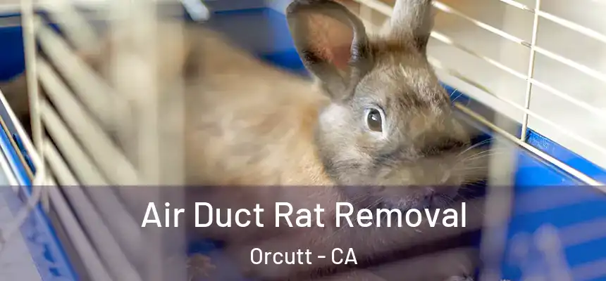  Air Duct Rat Removal Orcutt - CA