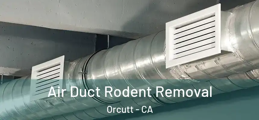  Air Duct Rodent Removal Orcutt - CA