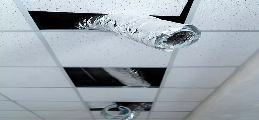 Affordable HVAC Sanitizing After Pest Removal in Orcutt