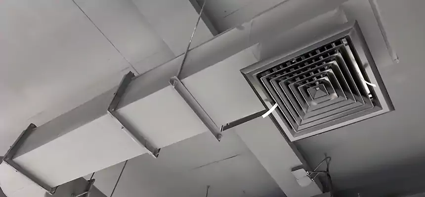 Our Pest Removal From Ducts Services in Orcutt, CA