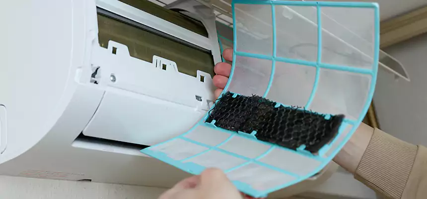 Gentle Ductwork Odor-Control Pet Dander Duct Cleaning in Orcutt, CA