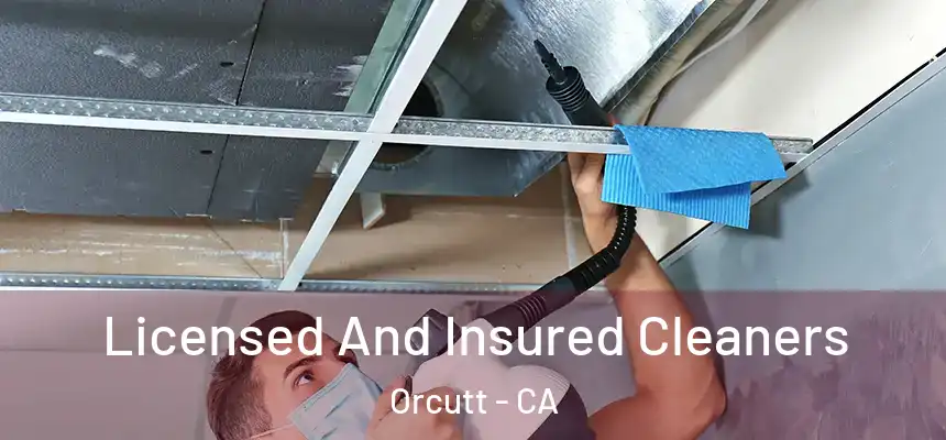  Licensed And Insured Cleaners Orcutt - CA