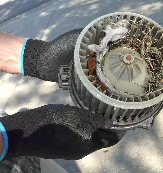 About Air Duct Mice Removal in Orcutt, CA