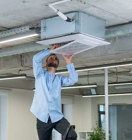 Advanced Rodent Droppings In Vents in Orcutt, CA
