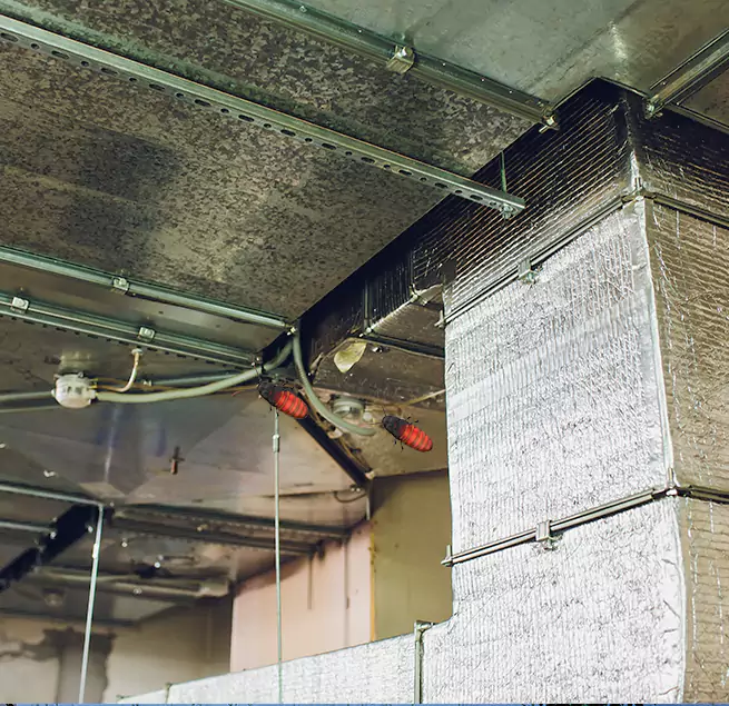 Why Homeowners & Businesses Trust Us in Orcutt, CA?