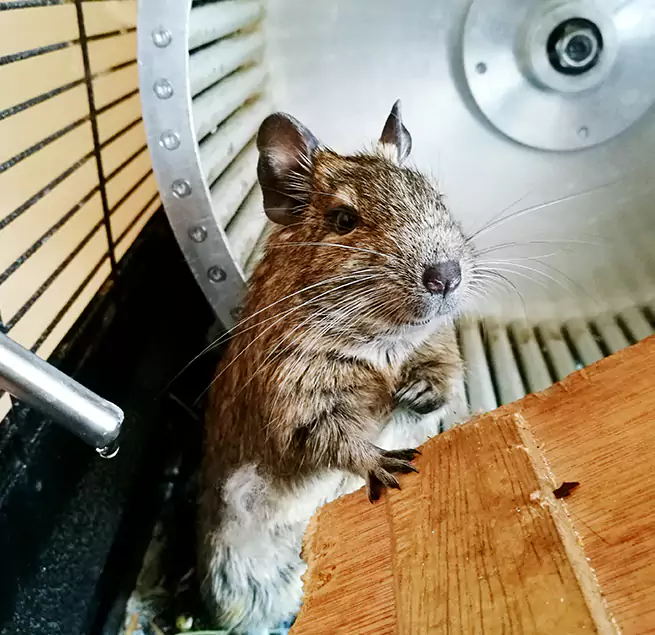 Why Homeowners & Businesses Trust Us Orcutt, CA?