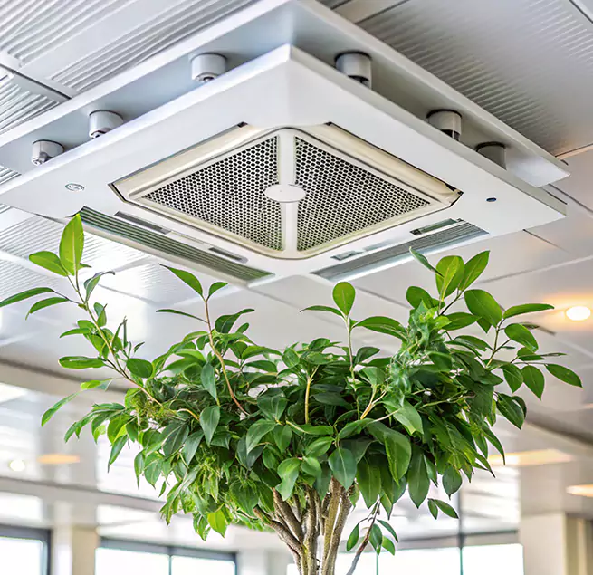 Why Homeowners & Businesses Trust Us in Orcutt, CA